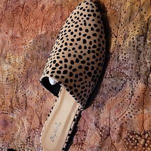 Qupid cheetah mules